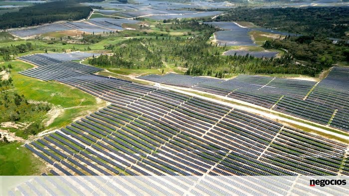 Francesa Neoen inaugura maior central solar do país na polémica herdade da Torre Bela