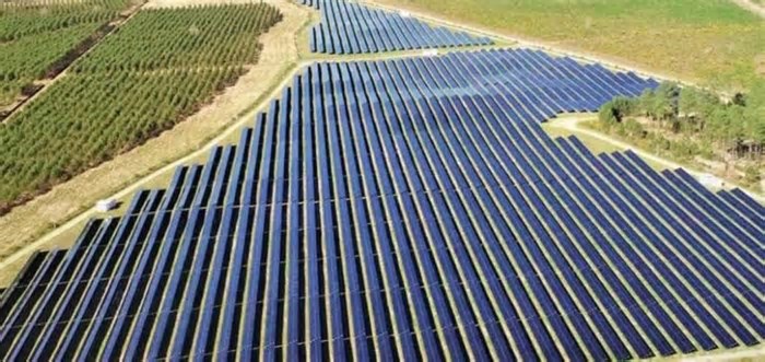 Neoen inaugura o maior parque solar de Portugal e anuncia novos investimentos