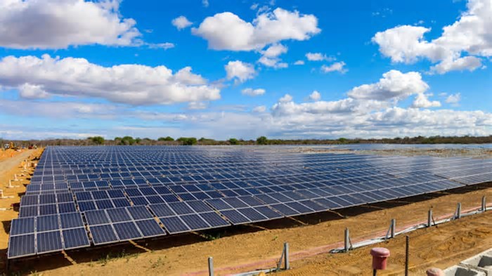 Claro inaugura usina de energia solar em Guaíba, no Rio Grande do Sul