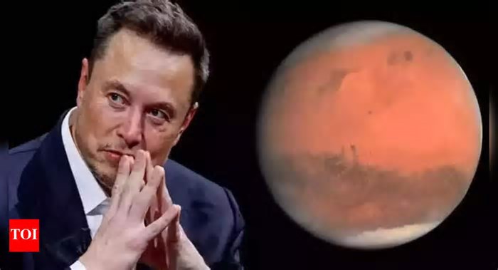 Elon Musk’s Mars Mission: Why humanity’s future may depend on the ‘red planet’