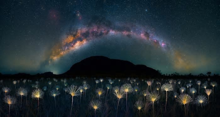 Astroturismo: destinos no Brasil para explorar o universo