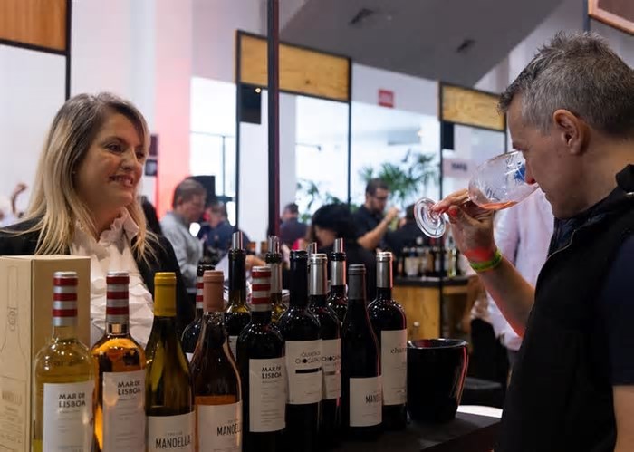 Vinhos de Portugal: últimos ingressos à venda para provas no Rio e em São Paulo; saiba como comprar