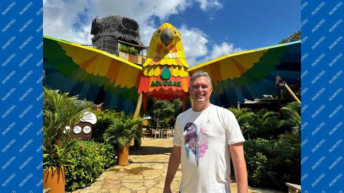 Tudo sobre o Arvorar, novo parque do Beach Park, e como agentes podem vender o destino