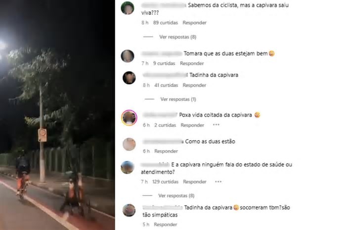 E a capivara? Vídeo de acidente com ciclista gera onda de curiosidade sobre estado do animal