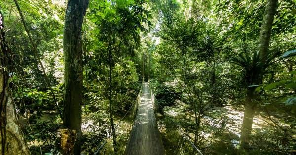 Cinco atitudes para preservar as praias e trilhas do Litoral Norte