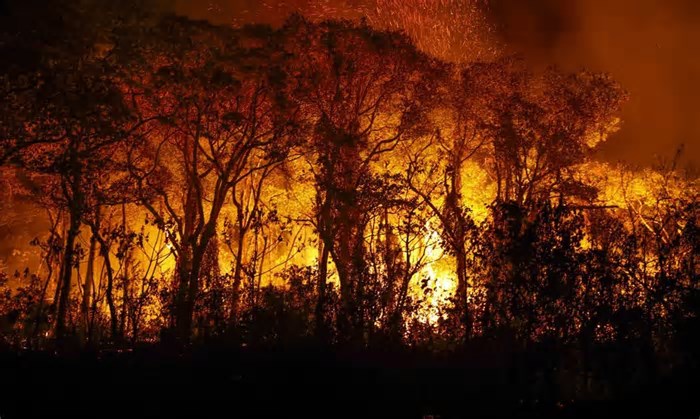 Governo sanciona com veto lei que fortalece mecanismo de resposta a incêndios florestais
