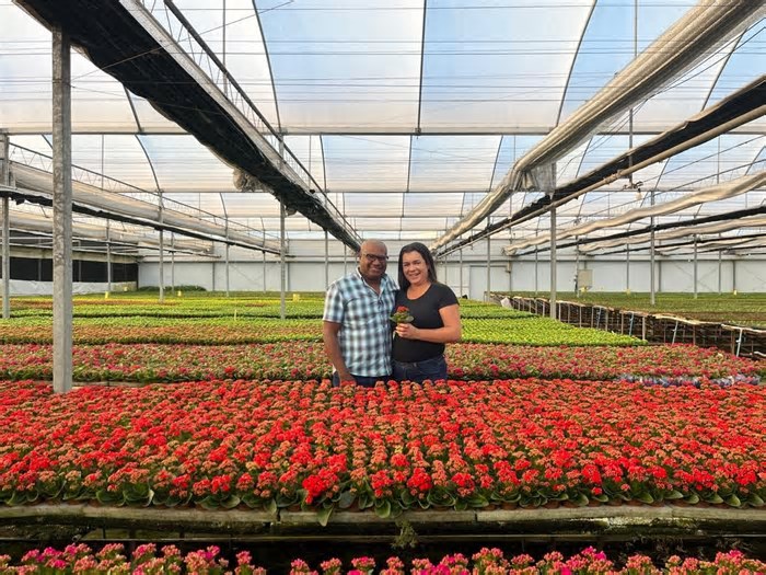 Estes casais deixaram suas profissões para empreender juntos vendendo flores
