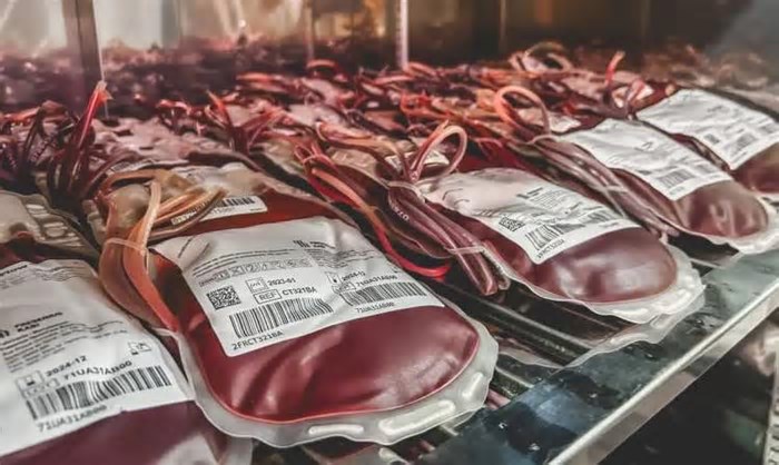 Santa Casa celebra o Dia Mundial do Doador de Sangue