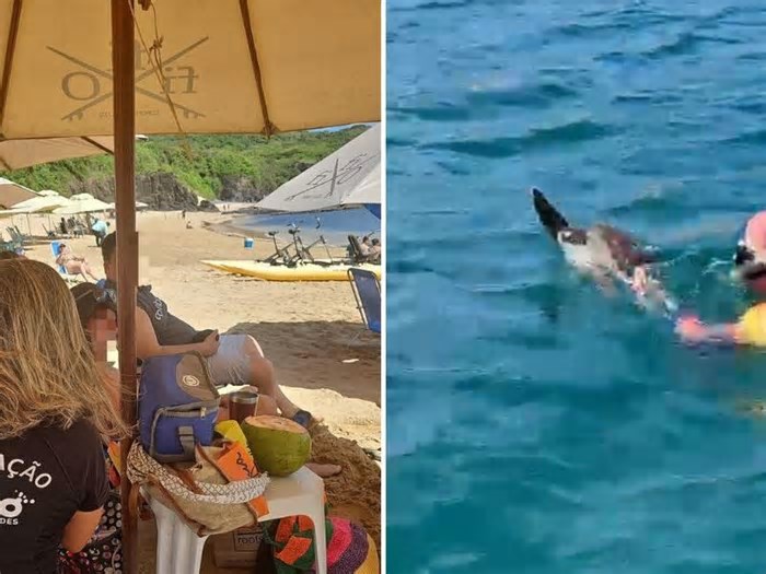 Fernando de Noronha: turista é autuado por tocar e perseguir tartaruga marinha na Praia do Porto