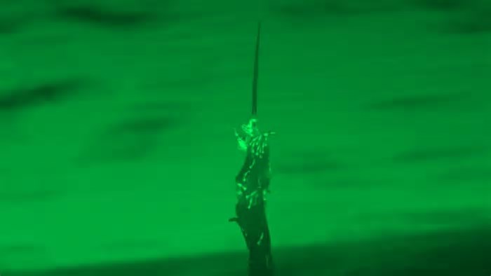 Imagens mostram animais minúsculos formando impressionante “torre” viva