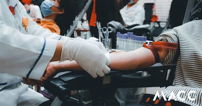 Doe sangue e receba um livro em troca. Campanha oferece obras a quem estiver disposto a fazer uma dádiva