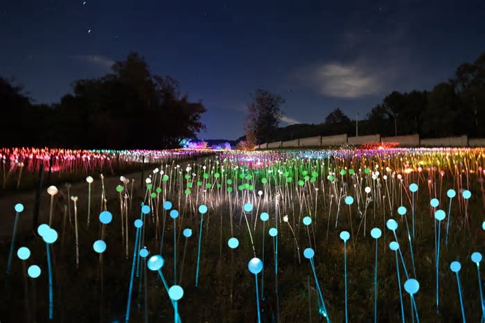 Gramado ganha nova atração 'instagramável', com jardim formado por 50 mil pontos de luz; veja imagens