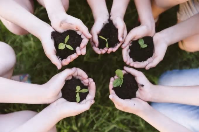 Summit Agenda SP+Verde: SP anuncia evento pré-COP com foco em desenvolvimento sustentável
