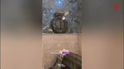 Tour noturno revela histórias de terror e lendas urbanas do centro de Santos, SP