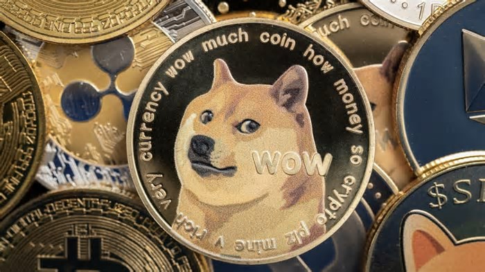 Copy trade de memecoin? Conheça o 1º sistema da América Latina que automatiza a compra e venda de memecoins