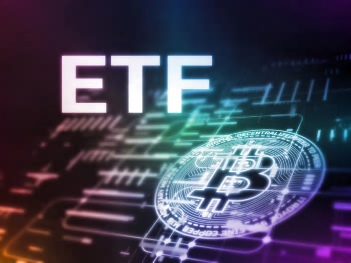 Do pico ao ajuste: como fundos cripto do Brasil reagiram à volatilidade do Bitcoin
