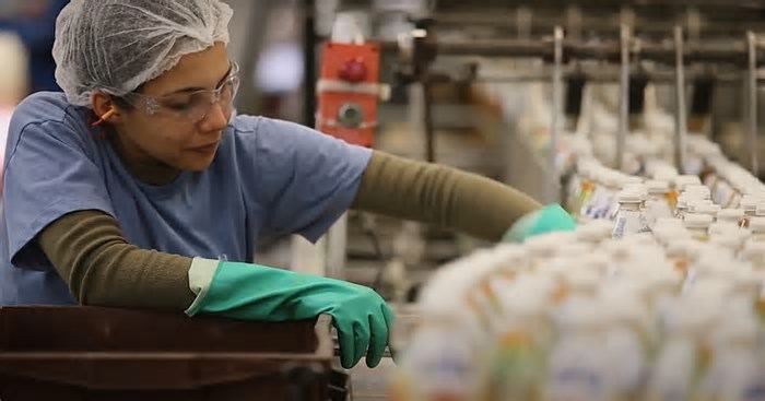 Indústria de alimentos projeta crescimento de 10% em 2025