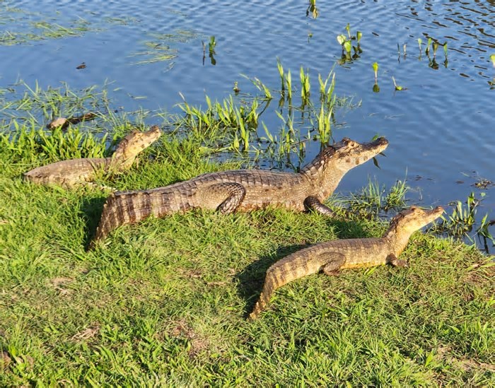 Turismo cresce em Mato Grosso do Sul e impulsiona economia regional
