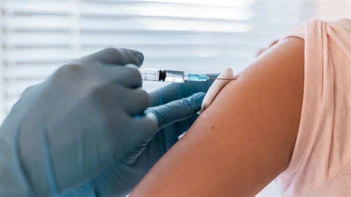Gripe aviária | Anvisa atualiza situação da vacina desenvolvida pelo Butantan