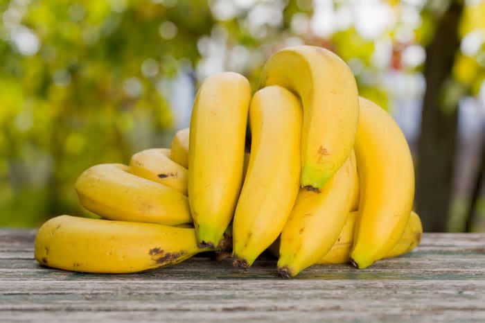 Produtores de banana 'doce por natureza' vão criar cooperativa em SC
