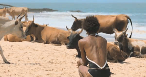 Filme “O Riso e a Faca” de Pedro Pinho estreia em julho em França