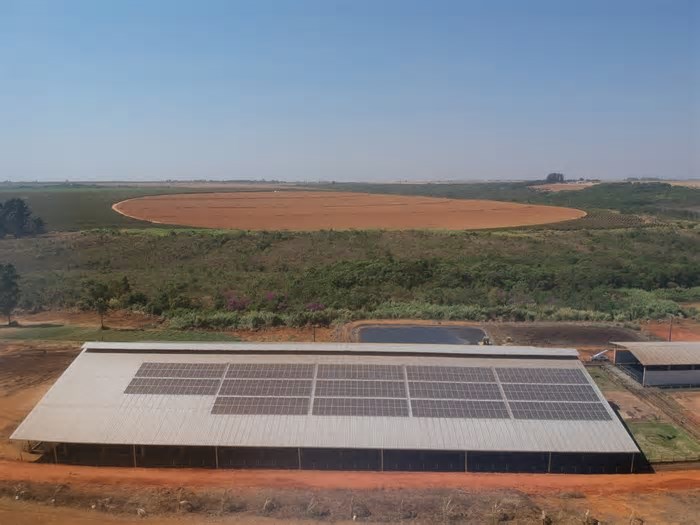 Fazenda de leite economiza R$ 50 mil por mês com energia solar