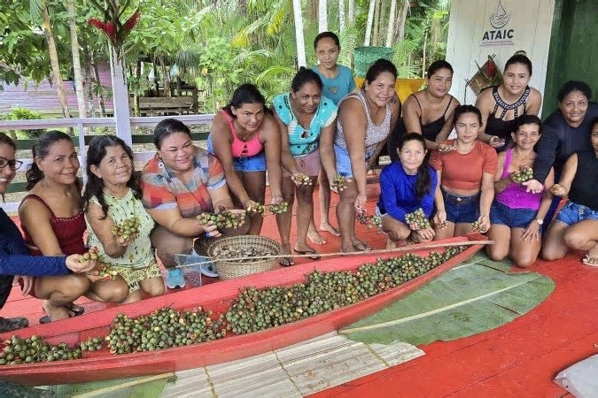 Conhecimento ancestral sobre sementes vira fonte de renda para mulheres da Amazônia