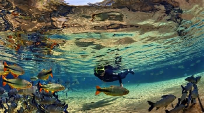 Turismo em Mato Grosso do Sul cresce 11,7% em março, aponta IBGE