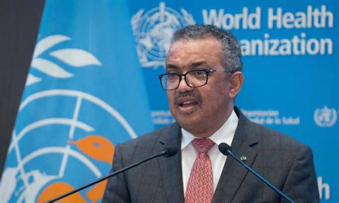OMS: mpox continua a ser emergência internacional de saúde