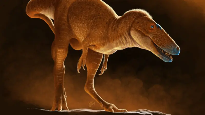 A nova espécie de dinossauro que 'reescreve' história da evolução do Tiranossauro Rex