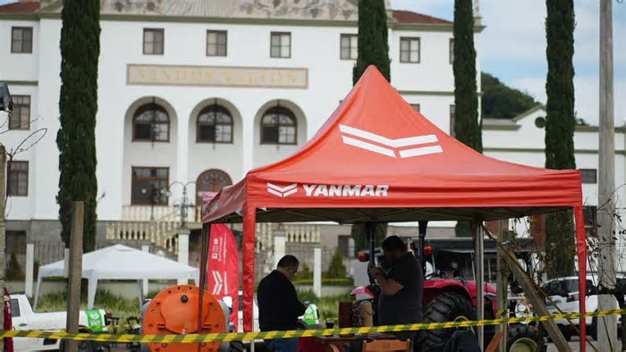 Ciclos & Vinhas da Salton reúne 500 participantes em Bento Gonçalves