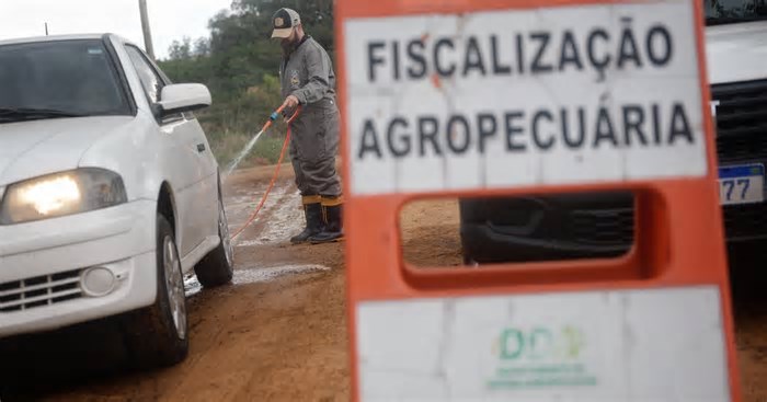 Países começam a rever restrições às exportações de frango do Brasil antes do fim do vazio sanitário