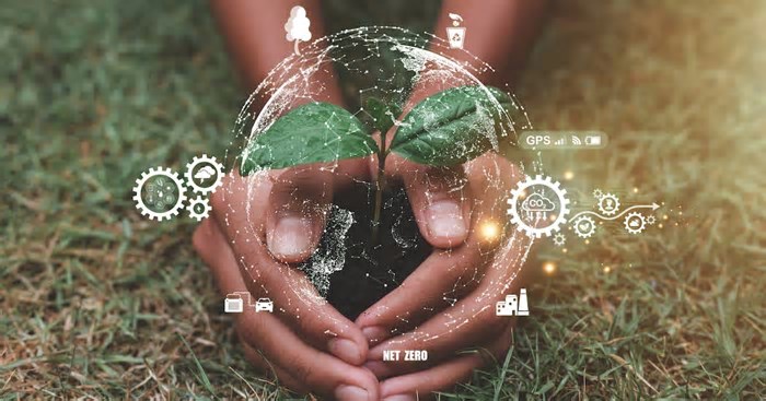 Green skills estão em alta no mercado de trabalho