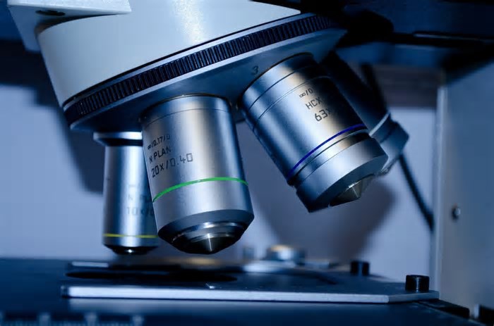 Cientistas chineses são acusados de contrabandear fungo tóxico para os EUA