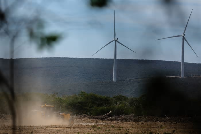 Folha lança série sobre impactos da transição energética na Chapada Diamantina