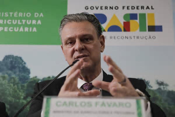 Gripe aviária: cai para 10 número de casos investigados; nenhum é em granja comercial
