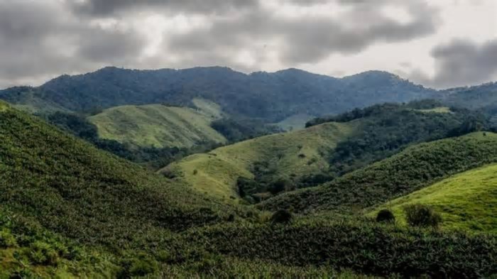 Minas Gerais comemora desmatamento! Incrível!…
