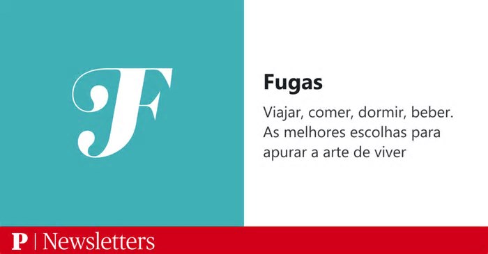 As raízes que nos atraem