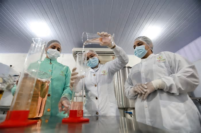 Do Cerrado para o mundo: a força do empreendedorismo feminino que transforma resíduos em soluções sustentáveis