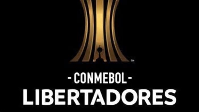 Conmebol registra faturamento recorde em 2024 tendo Copa América como principal destaque