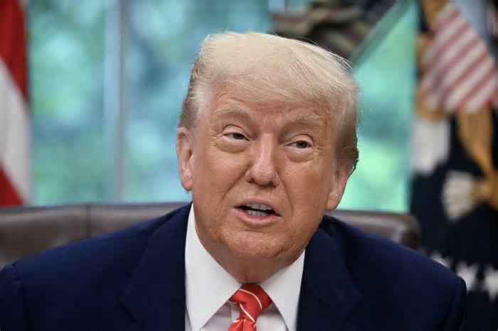 Trump vai lançar app de negociação de criptomoedas e recompensas com memecoin oficial