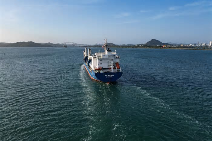 Coalizão de países lança iniciativa em favor de um 'oceano silencioso'; entenda