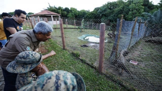 Requalificado, zoológico de Salvador reabre para visitação pública nesta terça-feira (3)