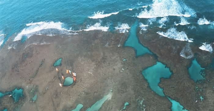 Costa dos Corais no Nordeste pode virar 'cemitério submerso'