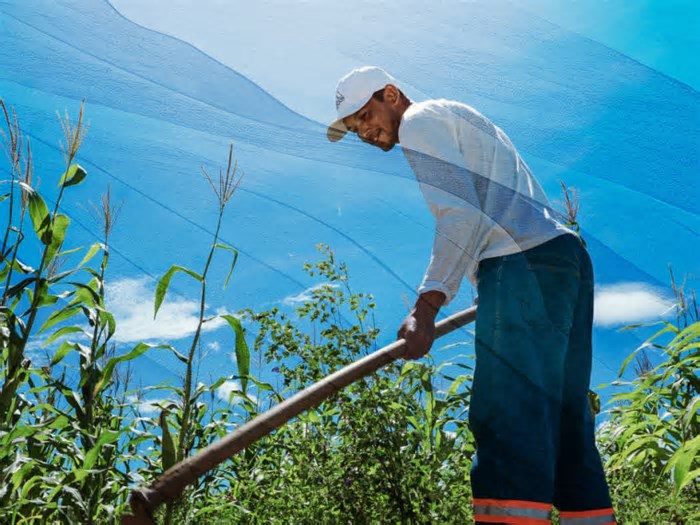 Justiça climática: desafios e oportunidades para as pequenas empresas