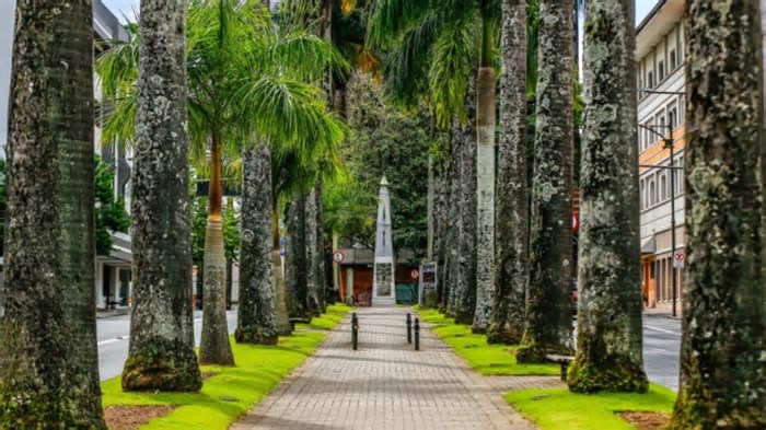Eventos bloqueiam principais ruas de Blumenau no final de semana; veja mudanças
