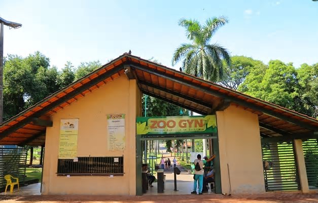 Gripe Aviária: Agrodefesa investiga morte de Cisne Negro no Zoológico de Goiânia