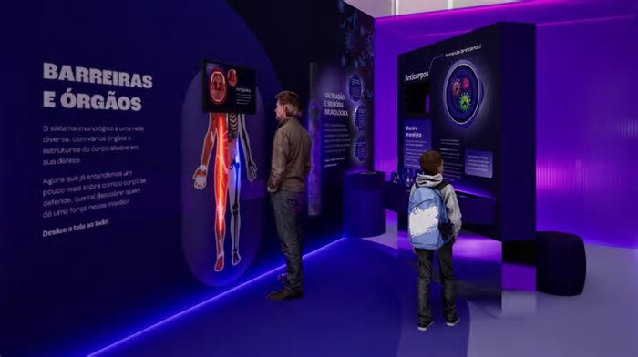 Com jogos, exposição interativa sobre o sistema imunológico estreia em museu em SP