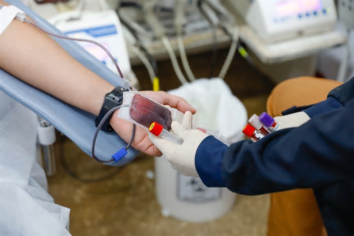 Junho Vermelho: Hemocentro lança campanha e nova logomarca para reforçar a importância da doação de sangue