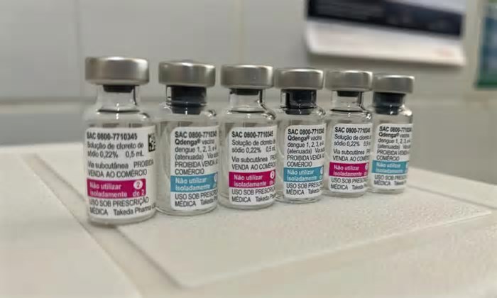 Vacinação contra a dengue começa nesta segunda-feira, 2, em Canoas